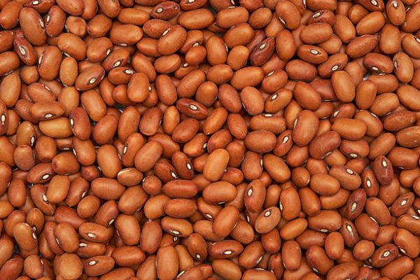 Brown Beans | 10lbs