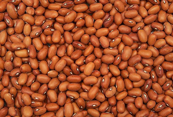 Closeup image of ecological brown beans seen from above